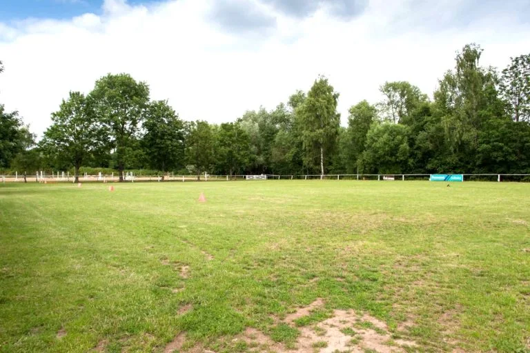 Rasenplatz Übersicht