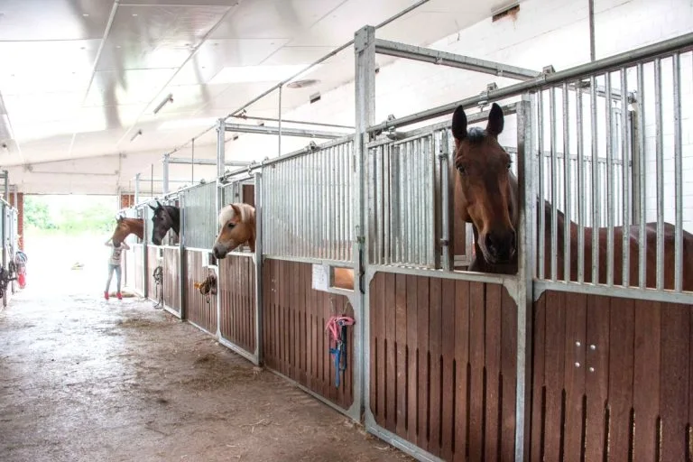 Außenansicht Stallungen